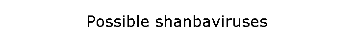 Possible shanbaviruses