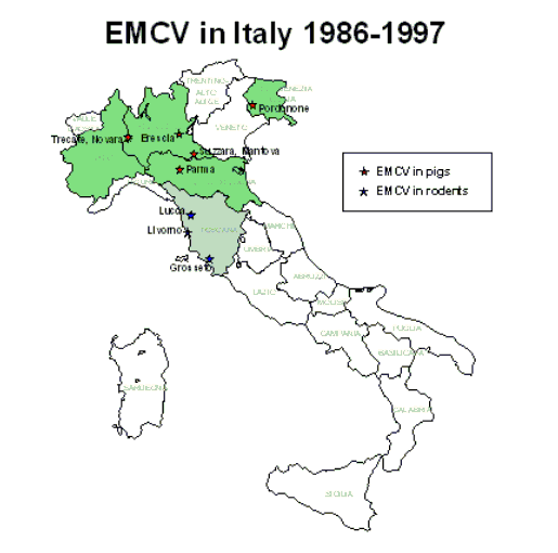 EMCV in Italy