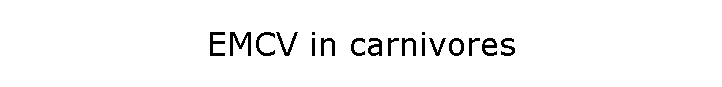 EMCV in carnivores
