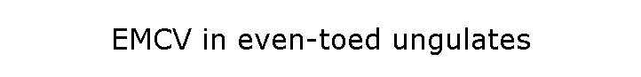 EMCV in even-toed ungulates