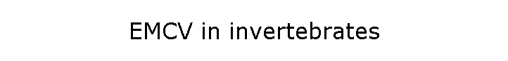 EMCV in invertebrates