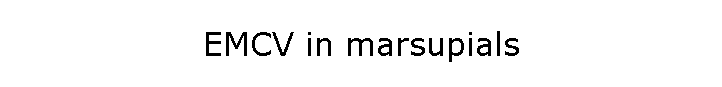 EMCV in marsupials