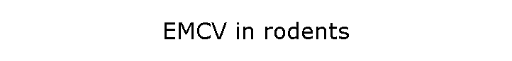 EMCV in rodents
