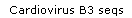 Cardiovirus B3 seqs