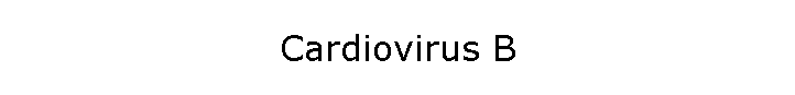 Cardiovirus B