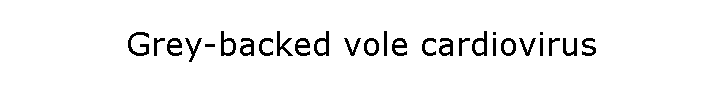 Grey-backed vole cardiovirus