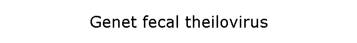 Genet fecal theilovirus