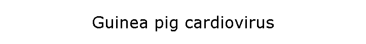 Guinea pig cardiovirus