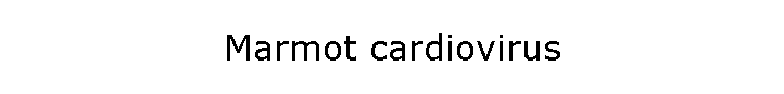 Marmot cardiovirus