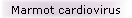Marmot cardiovirus