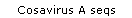 Cosavirus A seqs