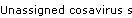 Unassigned cosavirus seqs