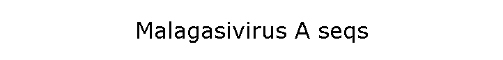 Malagasivirus A seqs