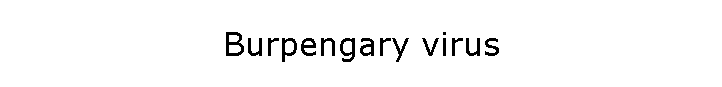 Burpengary virus