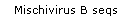 Mischivirus B seqs