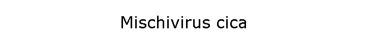 Mischivirus cica