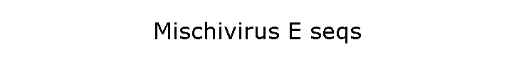 Mischivirus E seqs