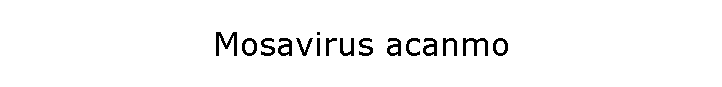 Mosavirus acanmo