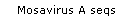 Mosavirus A seqs