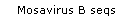 Mosavirus B seqs