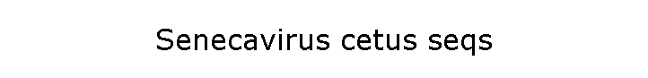 Senecavirus cetus seqs