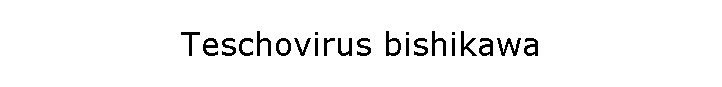 Teschovirus bishikawa