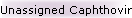 Unassigned Caphthovirinae