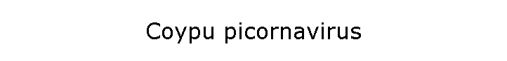 Coypu picornavirus