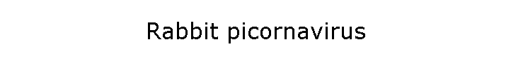 Rabbit picornavirus