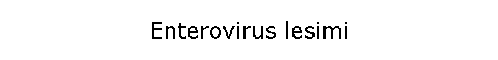 Enterovirus lesimi