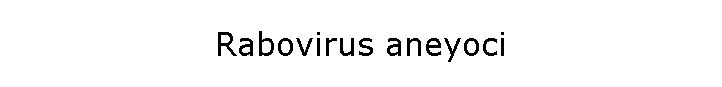 Rabovirus aneyoci