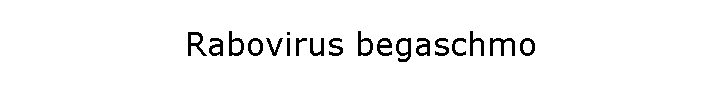 Rabovirus begaschmo