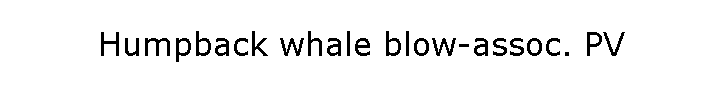 Humpback whale blow-assoc. PV