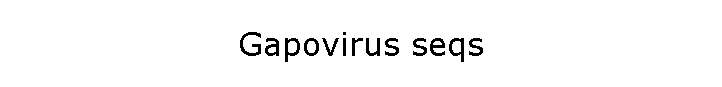 Gapovirus seqs