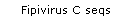 Fipivirus C seqs
