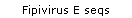 Fipivirus E seqs