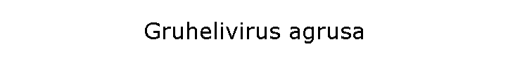 Gruhelivirus agrusa