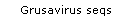 Grusavirus seqs