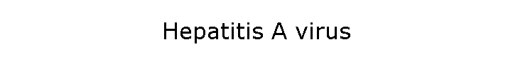 Hepatitis A virus