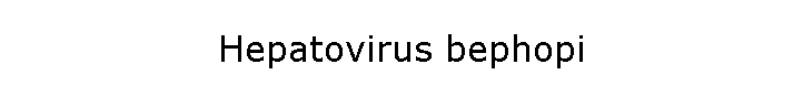 Hepatovirus bephopi