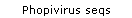 Phopivirus seqs