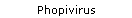 Phopivirus
