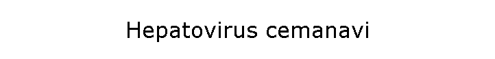 Hepatovirus cemanavi