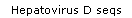 Hepatovirus D seqs