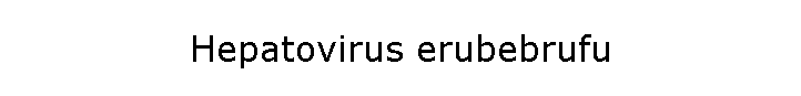 Hepatovirus erubebrufu