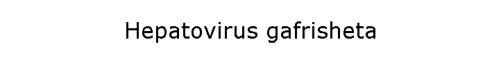 Hepatovirus gafrisheta