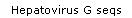 Hepatovirus G seqs