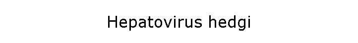 Hepatovirus hedgi