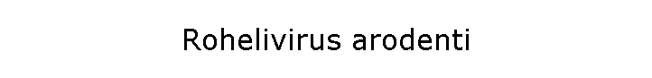Rohelivirus arodenti