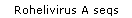 Rohelivirus A seqs